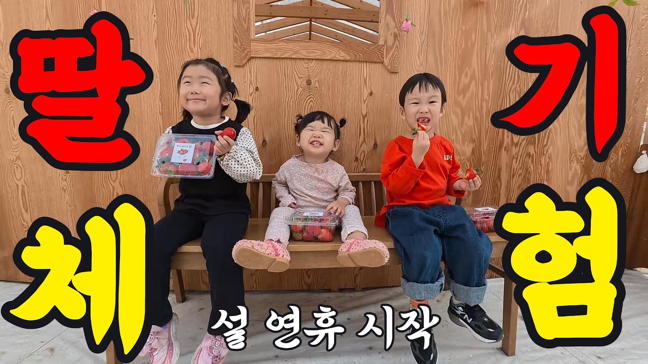딸기농장 풀코스 리얼 후기!🍓 여주 피크니코🍓