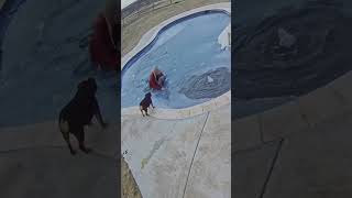 Woman Jumps in Frozen Pool to Rescue Dog