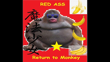 Return to Monkey (music video)