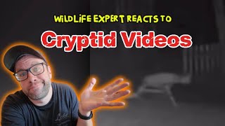 Wildlife Expert Reacts to Cryptid Videos