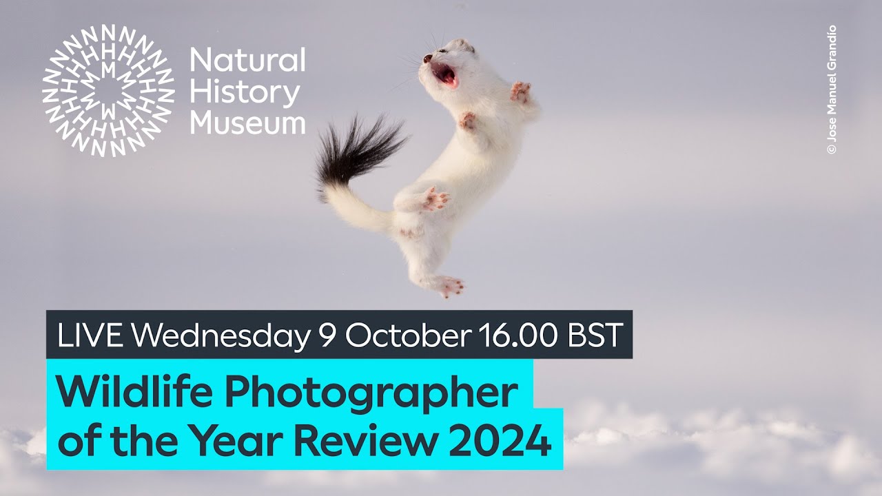 Wildlife Photographer of the Year Review 2024 - YouTube