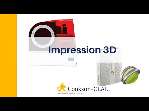 Vidéo: Accueil Imprimantes 3D - Vue Alternative