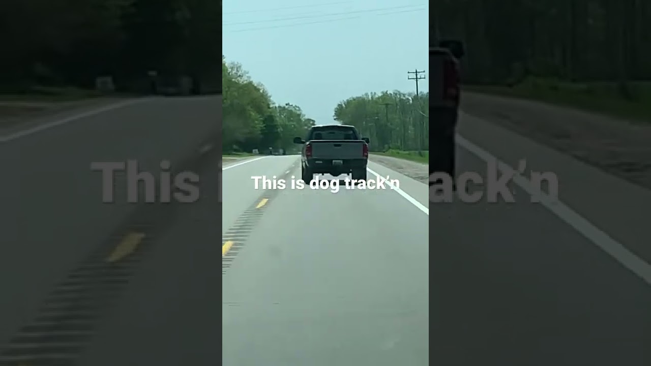 Dog Tracking @Rollinrusted  lol natural crab steering