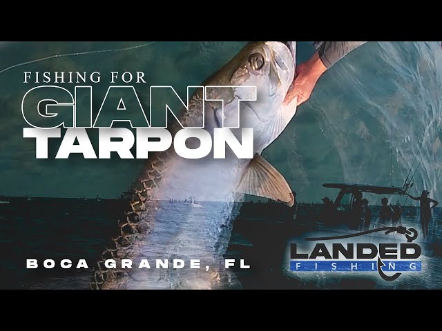 Fishing for Giant Tarpon! Boca Grande Florida | Landed Fishing EP13