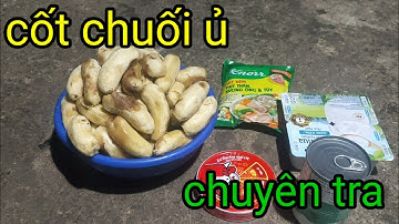 Hướng dẩn cách ủ chuối câu cá tra hồ dịch vụ#giaolưucâucá#teslcám#câucá#fishing