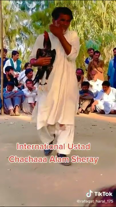 chacha alam Sheri //great man//aseel murga//aseel murga tiktok//aseel murga WhatsApp status