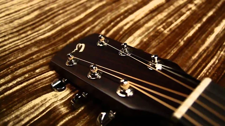 Breedlove Guitars: Passport D/MMe Acoustic Guitar
