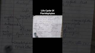 Life cycle of pteridophytes | #shorts #ytshorts #trending #viral #zoology #tuitiontoor