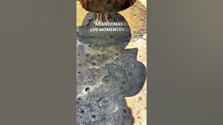 Tú eres el Camino y aunque a veces no lo vea, tu huella está marcada en cada instante mi buen Pastor