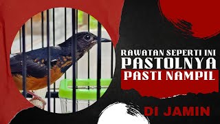 DI JAMIN‼️rawatan seperti ini pastolnya pasti nampil