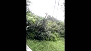WP 20130714 002