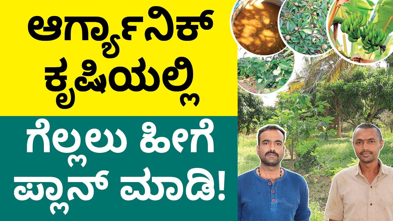 Organic Farming Plan in Kannada Things You Need to Know to Start an