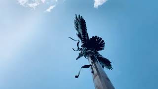 Soaring above the shores of the Potomac