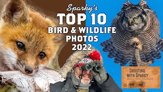 Sparky's Favorite Wildlife & Bird Photos 2022 Top Tens: bird photography