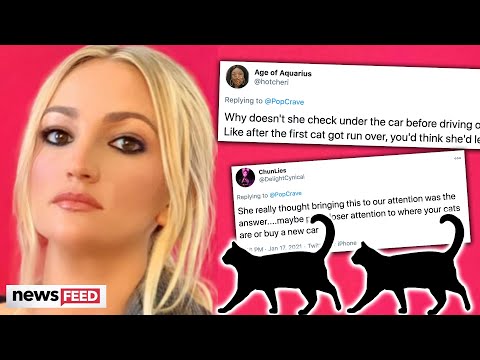 Jamie Lynn Spears DRAGGED For Deaths Of Her Cats!
