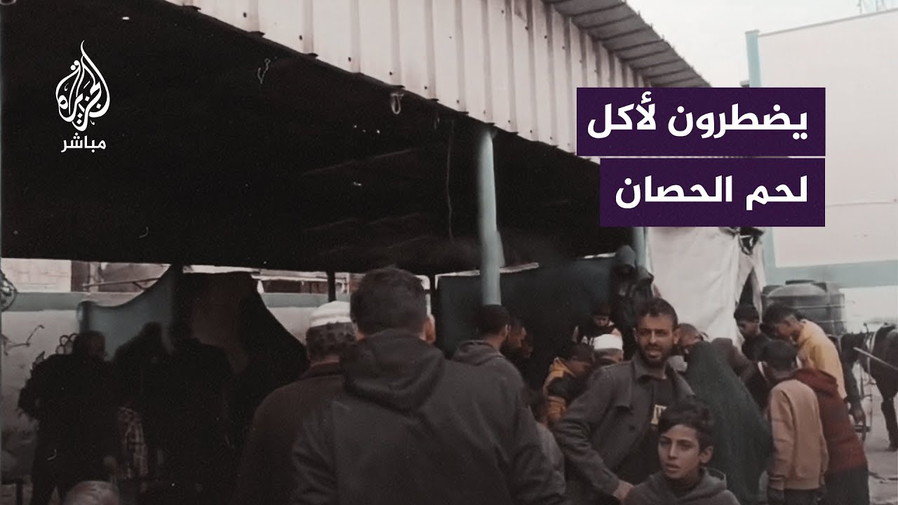 حصان قصفه الاحتلال يتحول إلى وجبة للأهالي في غزة مع اشتداد الحصار