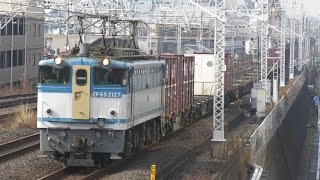 EF65-2127(カラシ)牽引の鹿島貨物(1093レ) 雨上がりの東船橋駅付近を通過