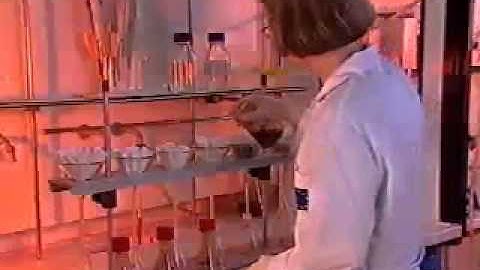 Determination of Aflatoxins