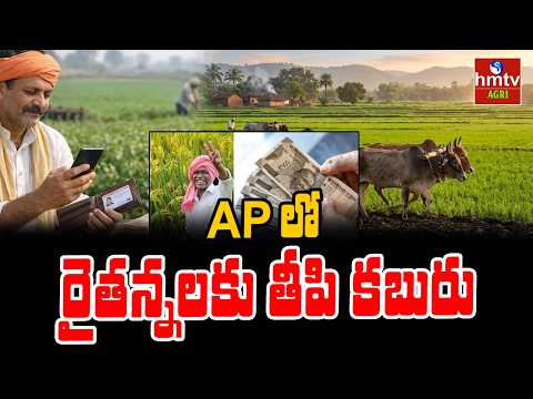 To The Point : Ap లో రైతన్నలకు తీపి కబురు | hmtvagri