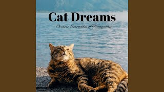 Tranquil Cat Naps