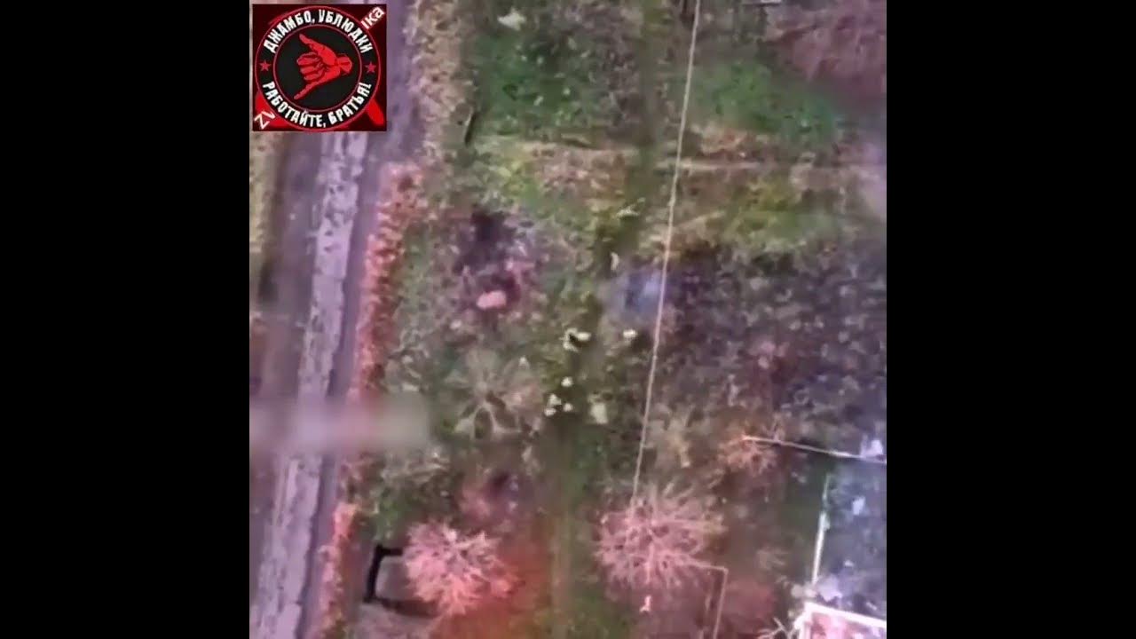 Массовое бегство из Куршавеля
