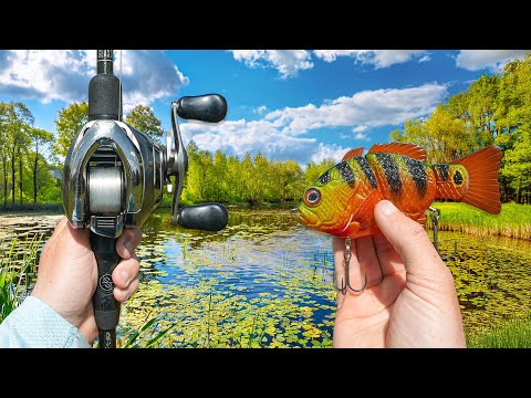 Fishing The Big Bass CAPITAL For SPRING Giants (Spawn Season)