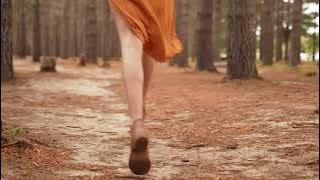 🎵 Dreamer - Chillout music || No Copyright ||🎶