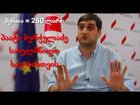 პაატა ბურჭულაძის ბლოკის დაპირებები - პენსია