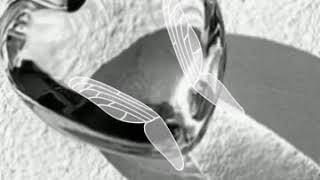 HEART with butterflies GIF IMAGE animated My Simple Pleasure