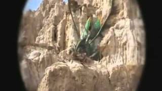 Starship troopers-I'd expect you to do the same for me Profile