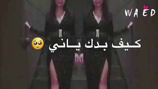 حالات واتس اب لفلي حشيش سمعني غناني