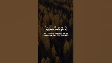 تلاوة هادئة