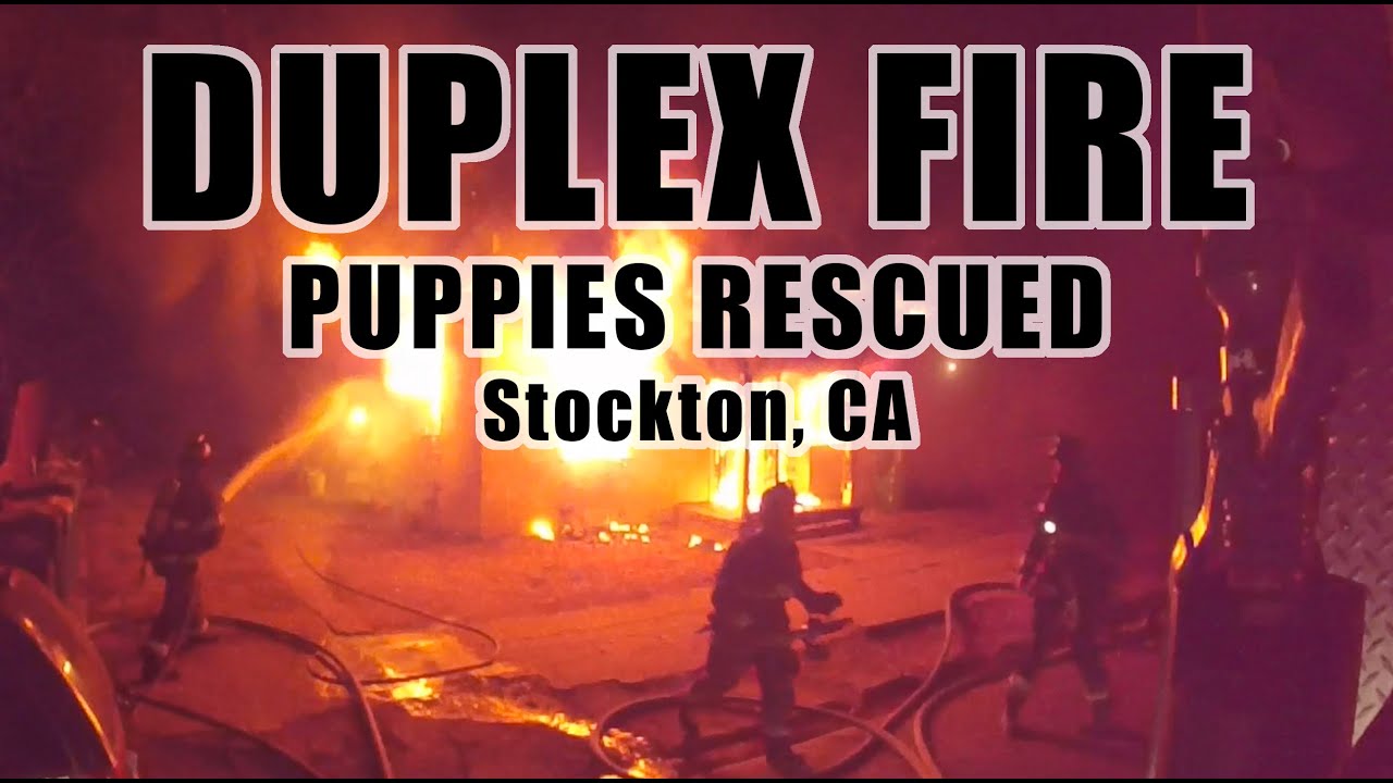 Working Duplex Fire • Puppies Rescued • Stockton CA - YouTube
