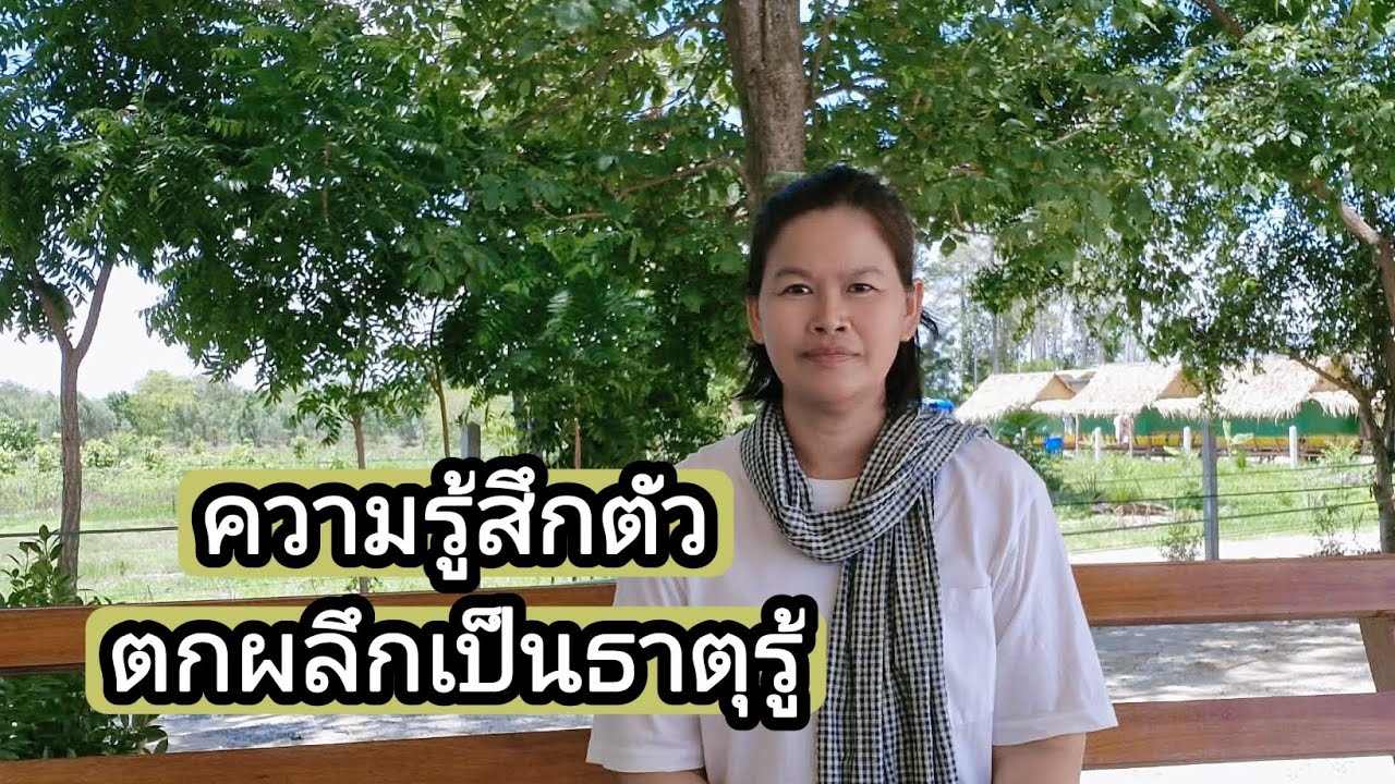 Ep.324 ความรู้สึกตัวตก ผลึกเป็นธาตุรู้