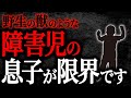 【2chヒトコワ】野生の獣のような障害児の息子が限界です【人怖】