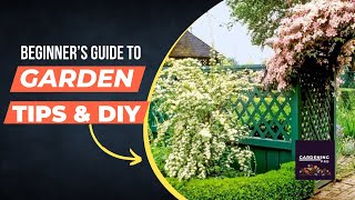 DIY Garden Ideas: Quick and Affordable Ways to Beautify Your Outdoor Space