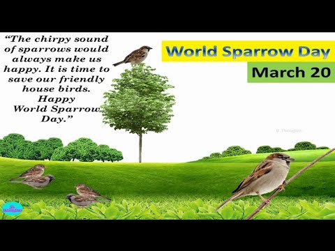 World Sparrow day March 20 |World Sparrow Day Status |Quotes on World ...