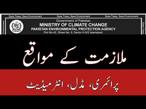 Video: Leej twg yog Minister of Environment Pakistan?