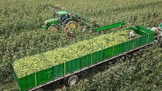 Modern Agriculture Technology,Corn,Garlic and Potato Harvest,Hay Bale Handling