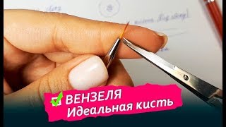 ВЕНЗЕЛЯ - идеальная кисть / Тонкие линии