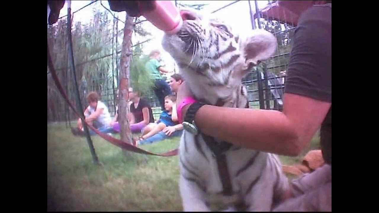 Tiger King Joe Exotic Undercover Investigation Footage Youtube
