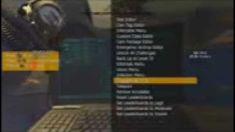mw2 infectable mod menu best in the world