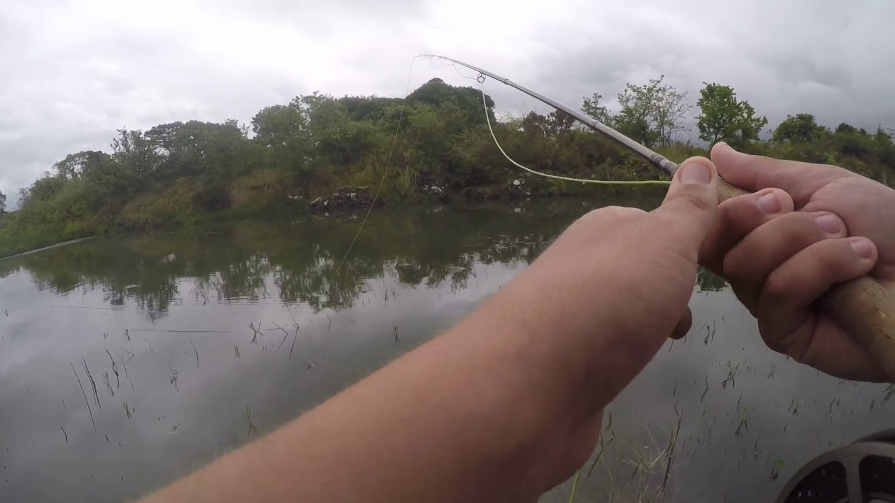 Trying to catch mullet on the fly YouTube