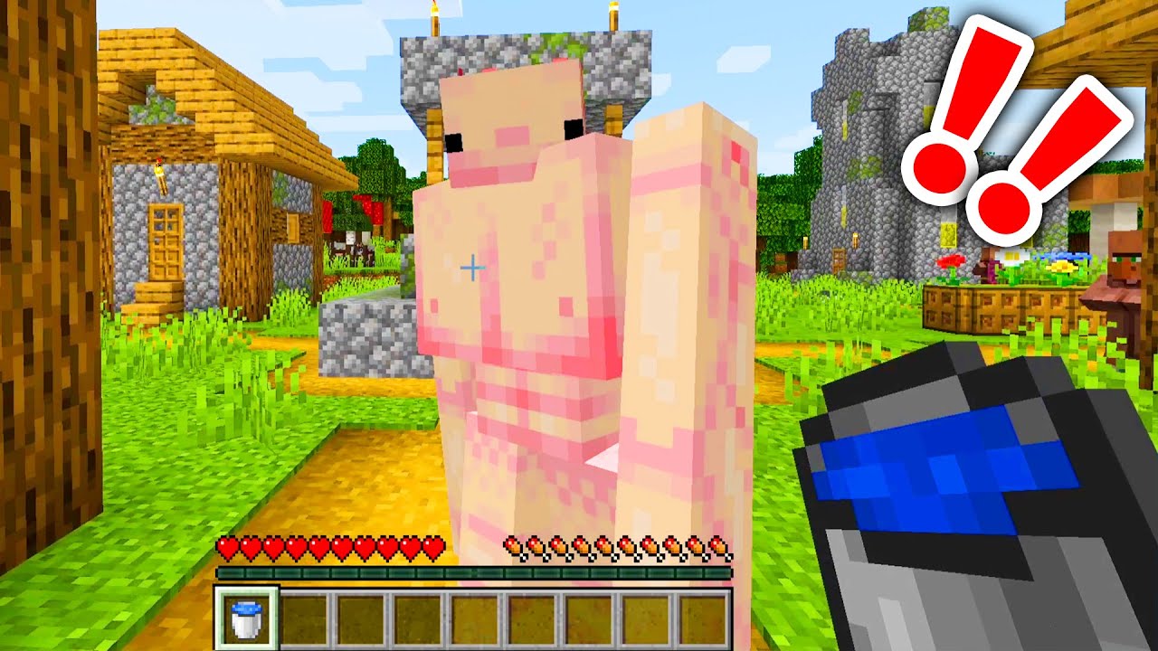 マイクラ ウーパールーパーゴーレム Minecraft Summary マイクラ動画