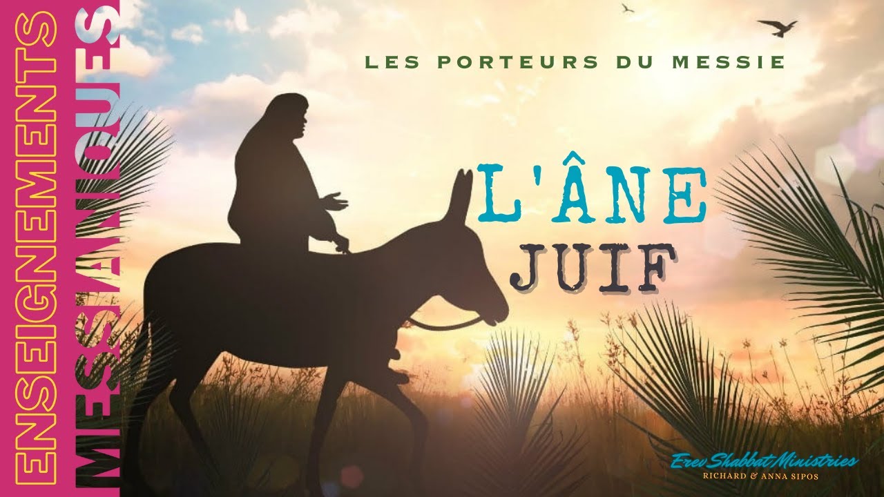 L'Âne du Messie : Un Cadeau Inattendu du Peuple Juif 🎁🐴