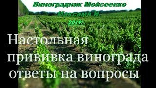видео: Настольная прививка винограда - ответы на вопросы. картинка: Настольная прививка винограда - ответы на вопросы.