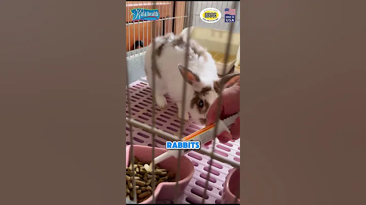 Watch the video about Feed this to your pet! 🐶😺🐰🐦🦎🐹