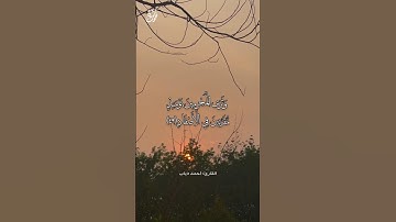 راحة و طمأنينة القارئ أحمد دياب #قرآن #أحمد_دياب #نفحات_شبان