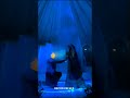 💗🤍#wedding #edit #love #editing #explore #song #shortfeed #shortsfeed #share #shorts #short