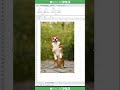 Excel rimuove lo sfondo da un’immagine, come Canva o Photoshop, senza uscire dal file